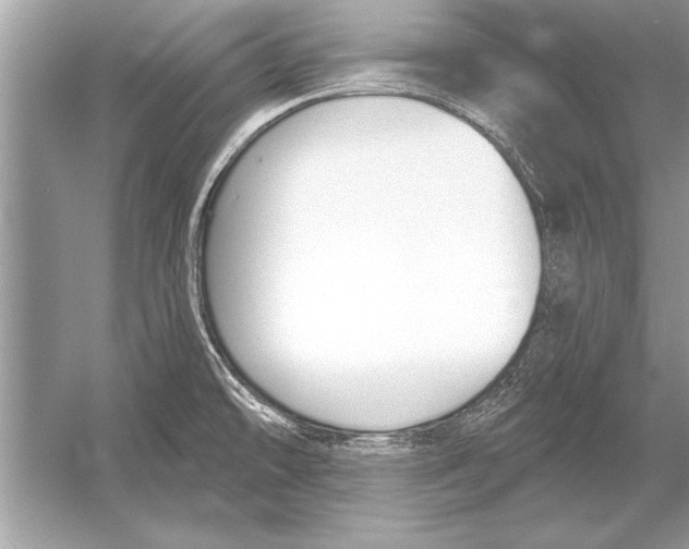 X0000051921478200507222121