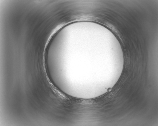 X0000051921480200507222121