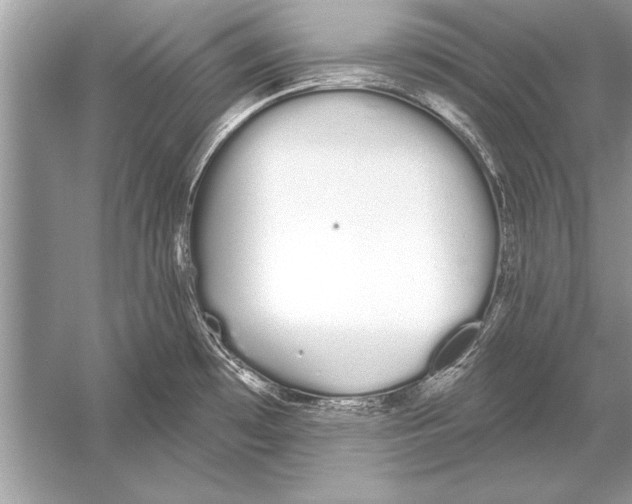 X0000051921481200507222121