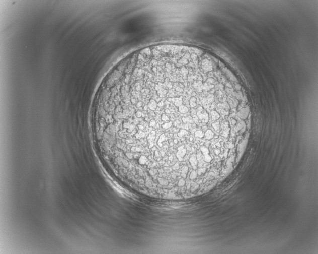 X0000051921482200507222121