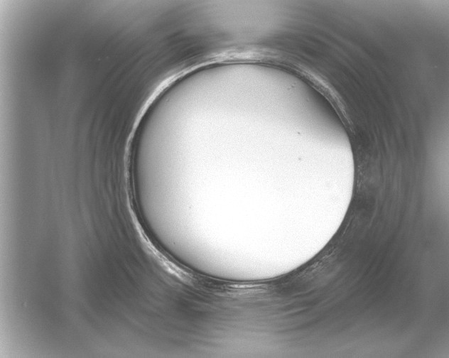 X0000051921483200507222121