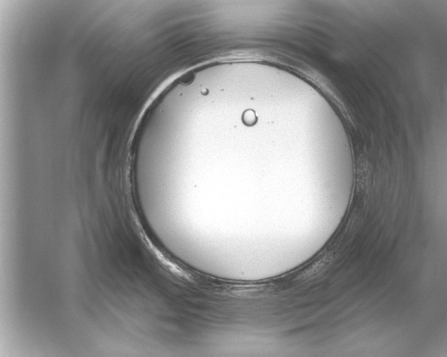 X0000051921484200507222121