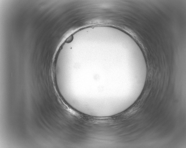 X0000051921486200507222121