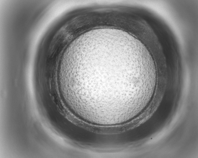 X0000051921487200507222121