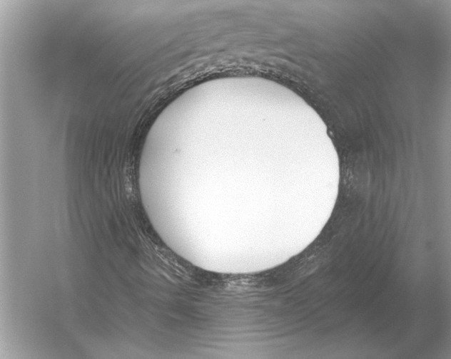 X0000051921490200507222120