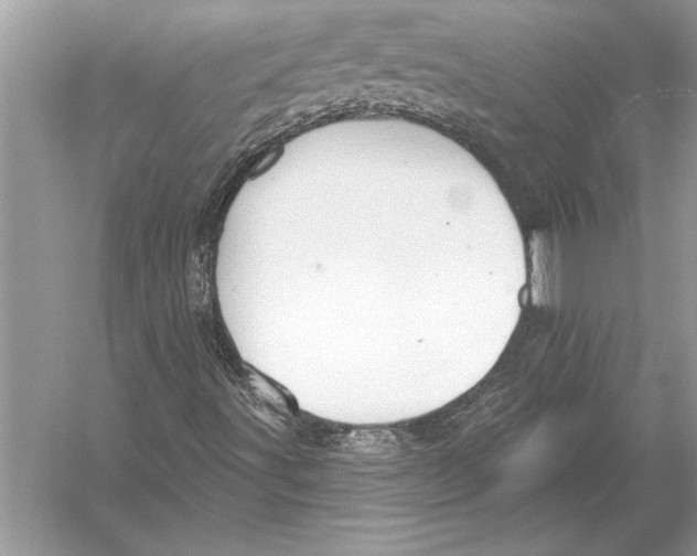 X0000051921491200507222120