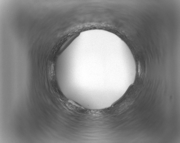 X0000051921492200507222120