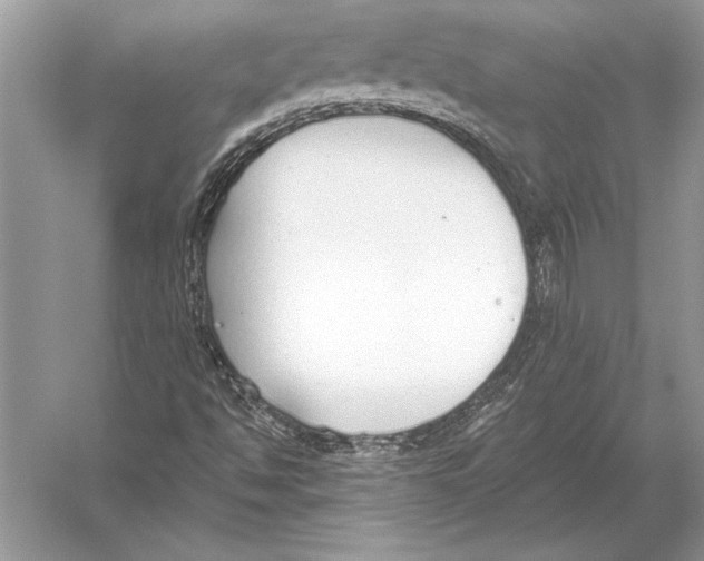 X0000051921494200507222120