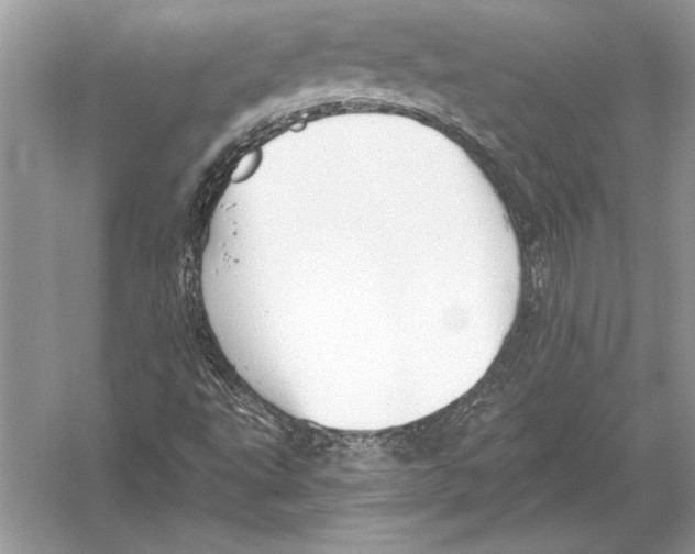 X0000051921495200507222120