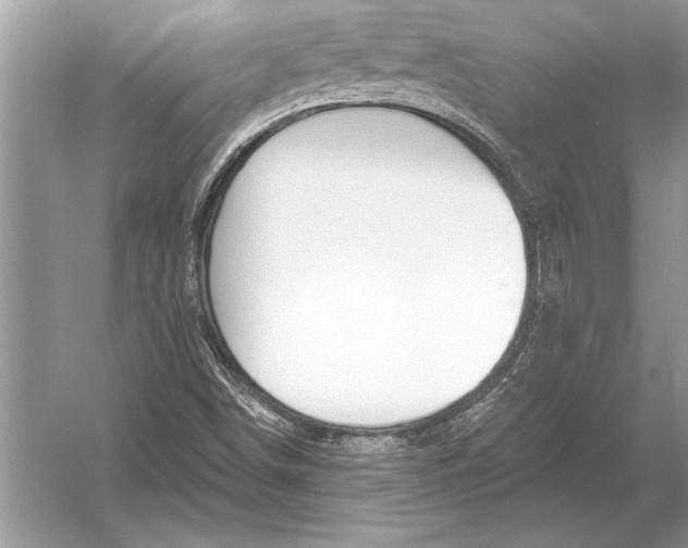 X0000051921498200507222120