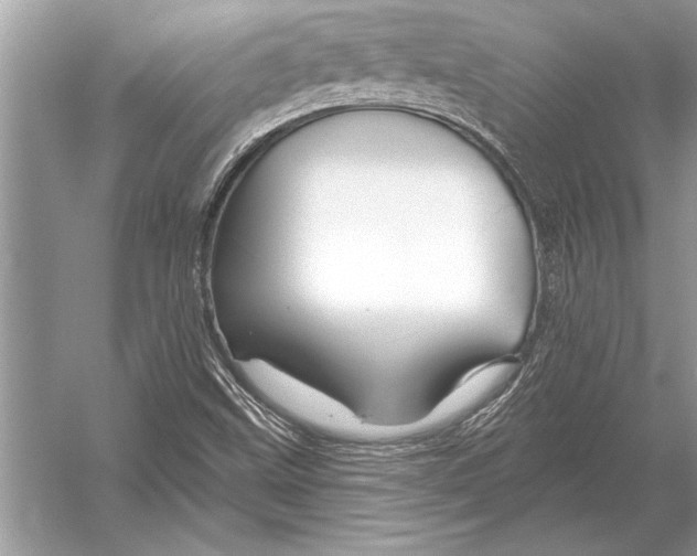 X0000051921499200507222120