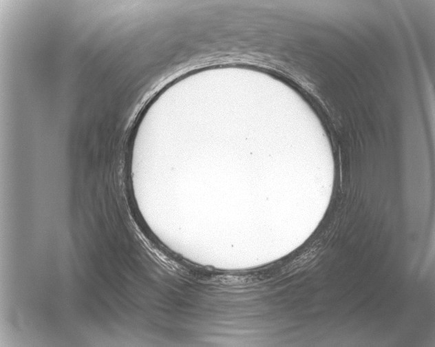 X0000051921500200507222121