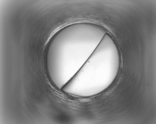 X0000051921501200507222121