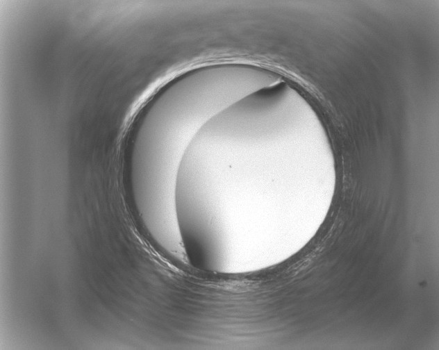 X0000051921502200507222121