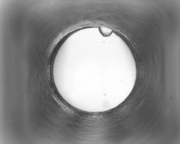 X0000051921503200507222121