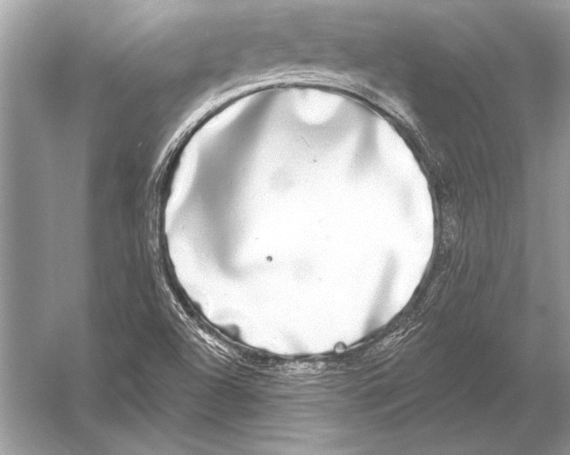 X0000051921504200507222121