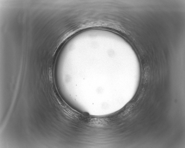 X0000051921505200507222121