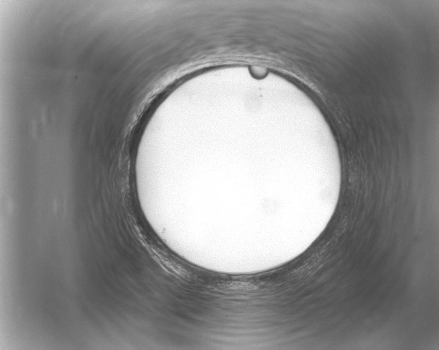 X0000051921507200507222121