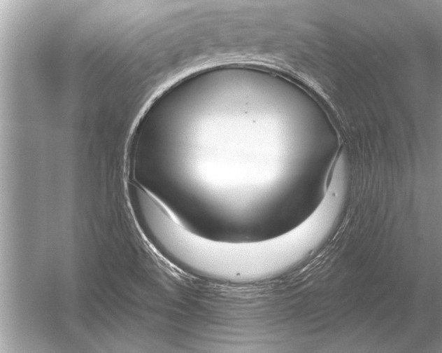 X0000051921508200507222121