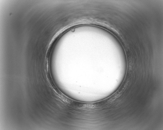 X0000051921509200507222121