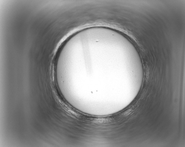 X0000051921510200507222121