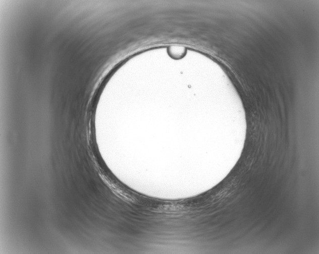 X0000051921511200507222121