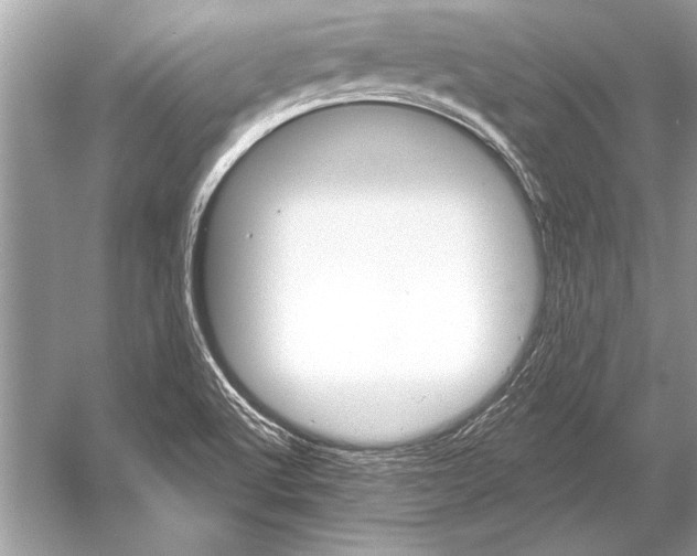 X0000051921512200507222121