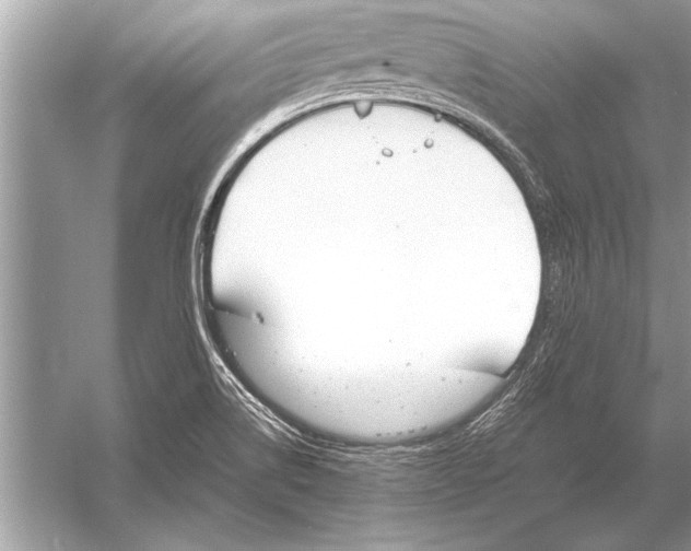 X0000051921514200507222121