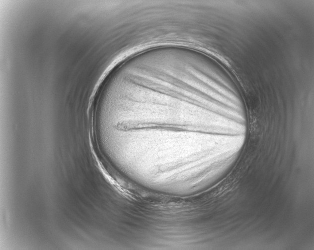 X0000051921515200507222121