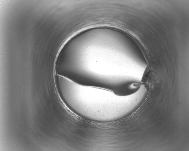 X0000051921516200507222121