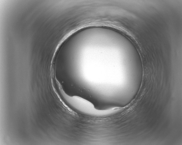 X0000051921517200507222121