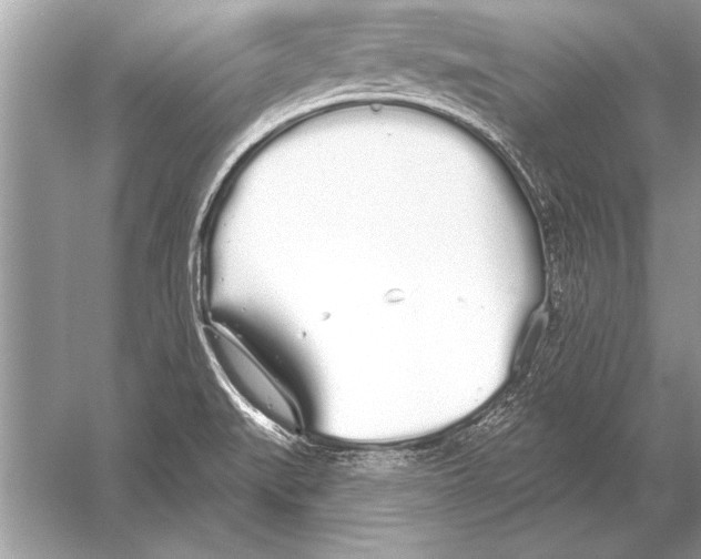 X0000051921519200507222121