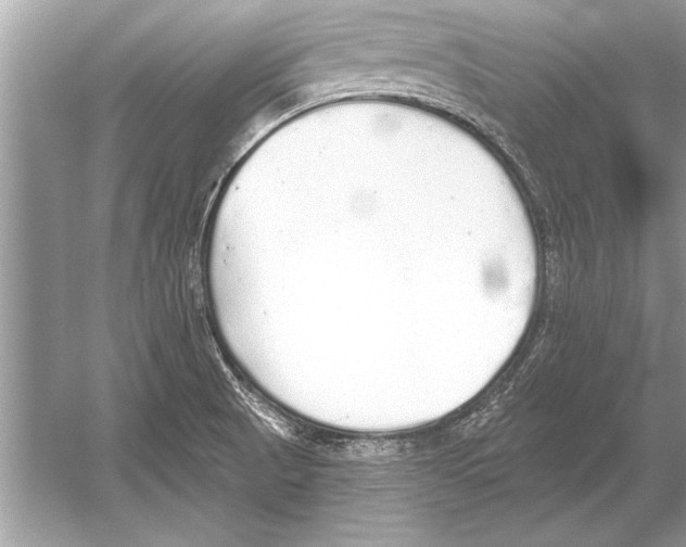 X0000051921521200507222121