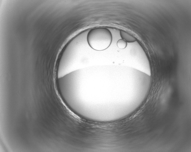 X0000051921525200507222121