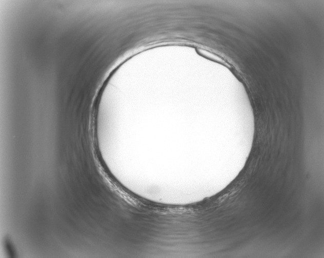 X0000051921526200507222121