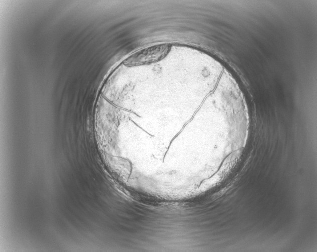 X0000051921529200507222121