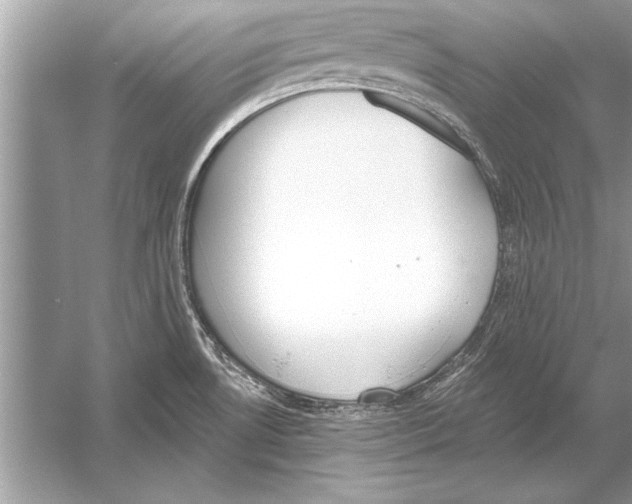 X0000051921530200507222121