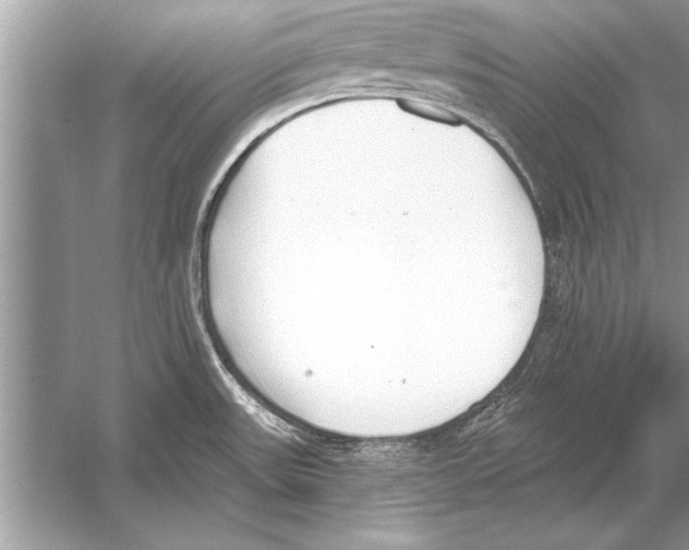 X0000051921531200507222121