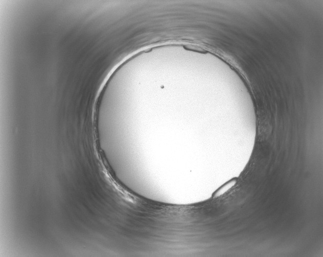 X0000051921532200507222121