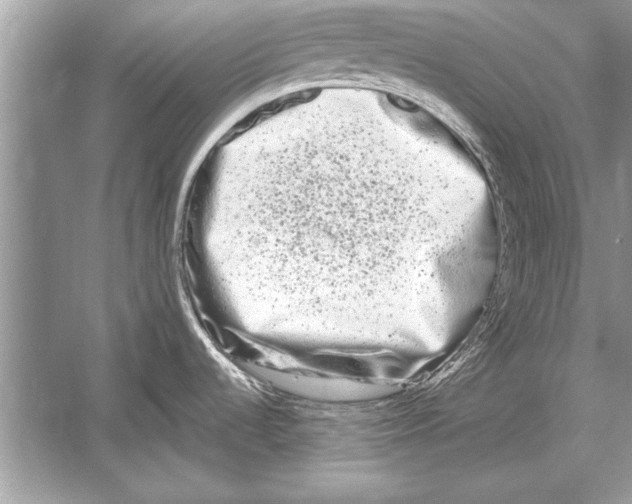 X0000051921536200507222121