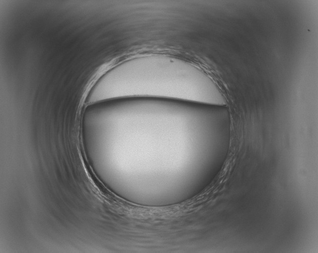 X0000052540003200507010831