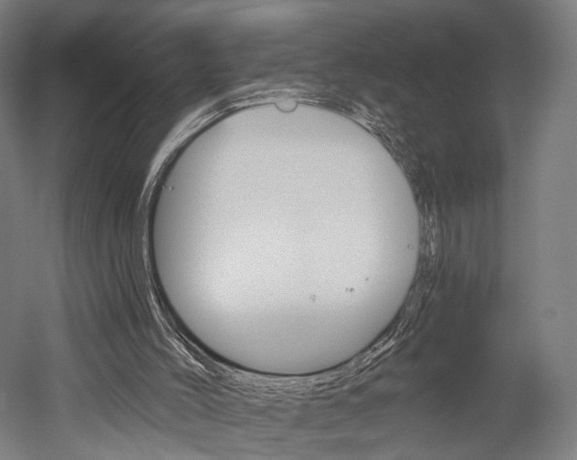 X0000052540004200507010831