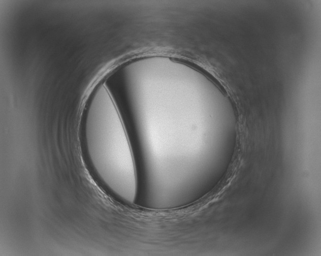 X0000052540007200507010831