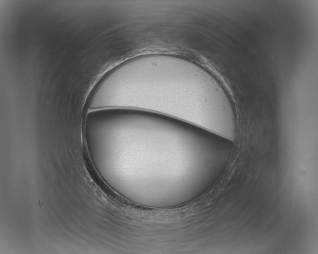 X0000052540011200507010831