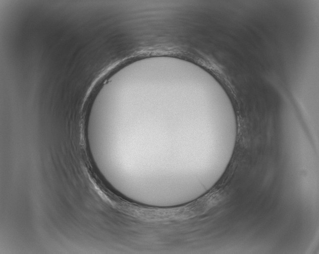X0000052540012200507010831
