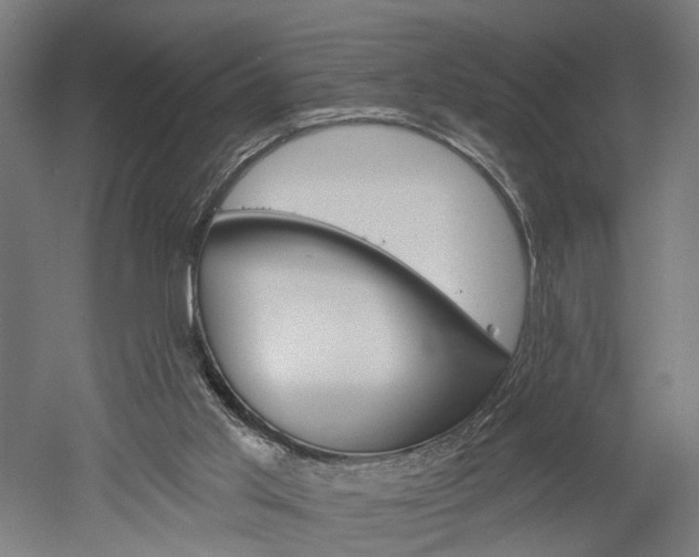 X0000052540013200507010831