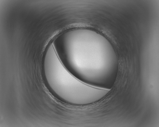 X0000052540015200507010831