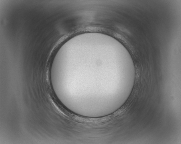 X0000052540016200507010831