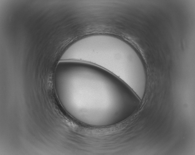 X0000052540017200507010831