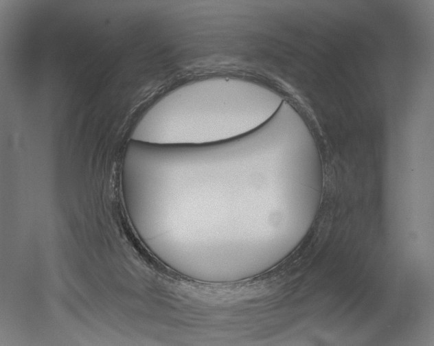 X0000052540018200507010831